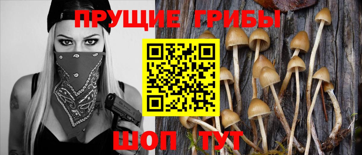 Псилоцибиновые грибы мухоморы Тимашёвск